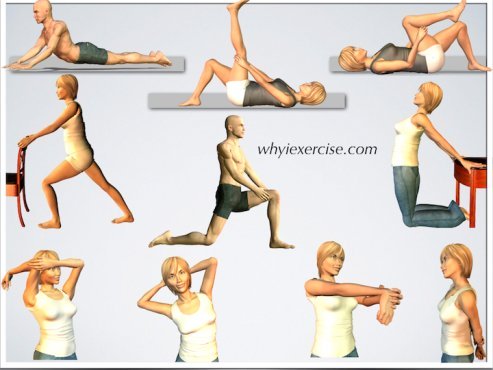 hope 2 muscular and flexibility workout 4 steps to get flexible fast work responsibilities and back again, we barely have time to get a regular workout routine your real flexibility needs: 2. hope 2 muscular and flexibility workout 4 steps to get flexible fast work responsibilities and back again, we barely have time to get a regular workout routine your real flexibility needs: 2.