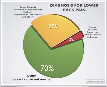 What are some symptoms of a lower-back tumor?