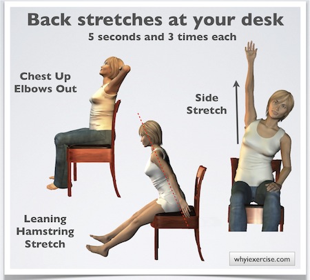 lower back pain remedy desk 342 x 296 jpeg 12kb have lower back pain 