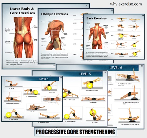 Exercise Program For Lower Back Injury