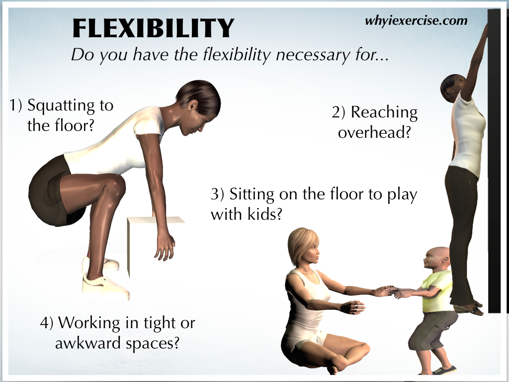 assignment 17 quiz 3 exercise and physical fitness