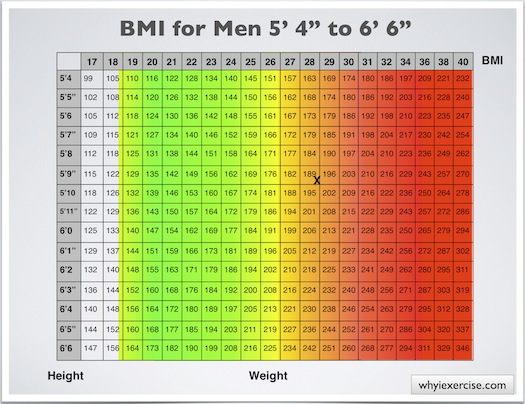 Ideal Body Mass Index Chart