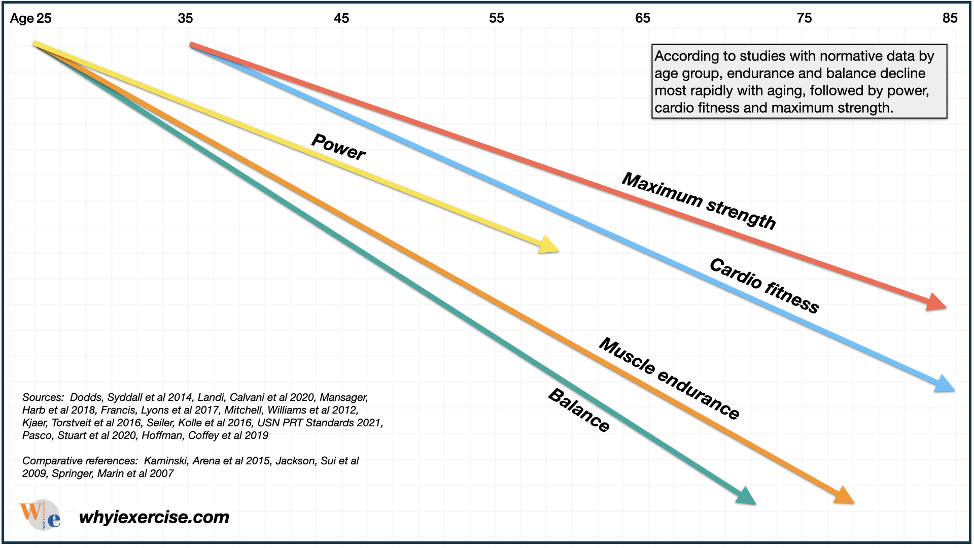 Muscular endurance and aging