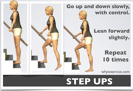 Image result for balance step-ups