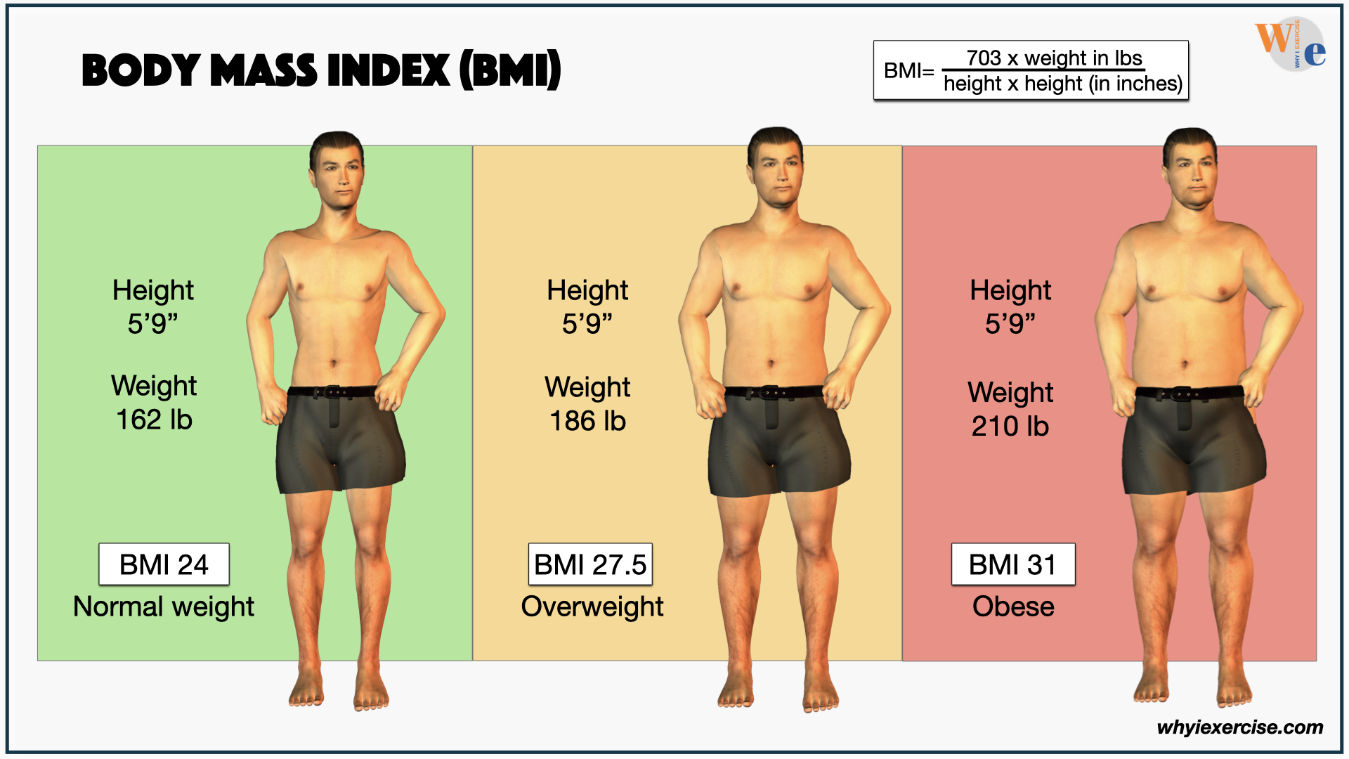 Body mass index (BMI) overweight, obese men