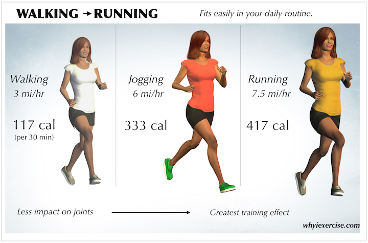 Cardiovascular exercises: advantages of aerobic training, how to get in