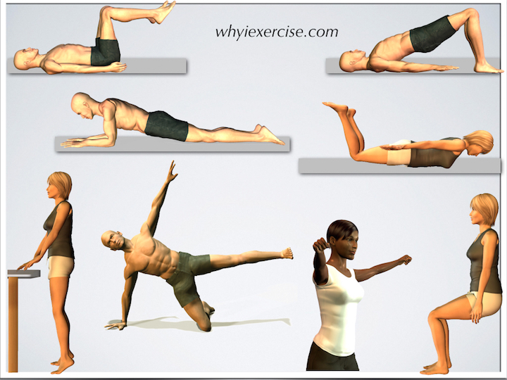 Body weight exercises: an Illustrated home strengthening routine with 5  videos