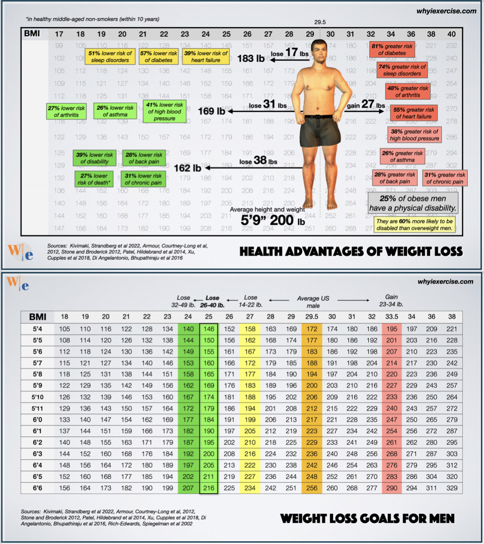 BMI: What is a healthy Body Mass Index - Health insights