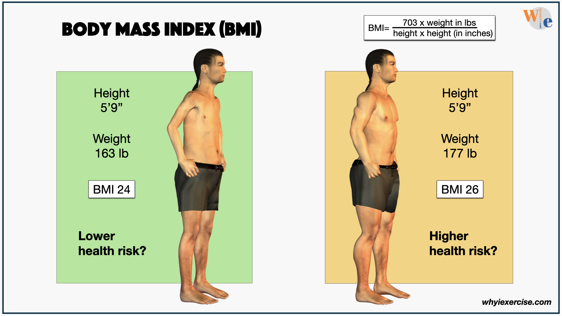 muscular and overweight vs. lighter weight inactive (BMI)