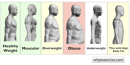 Obesity scale: effective body weight testing for home use