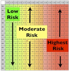 Obese Scale Chart