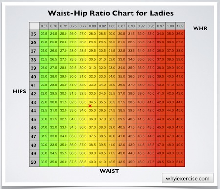 Average Waist Circumference Chart