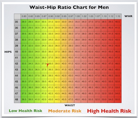 Healthy Waist Size Chart