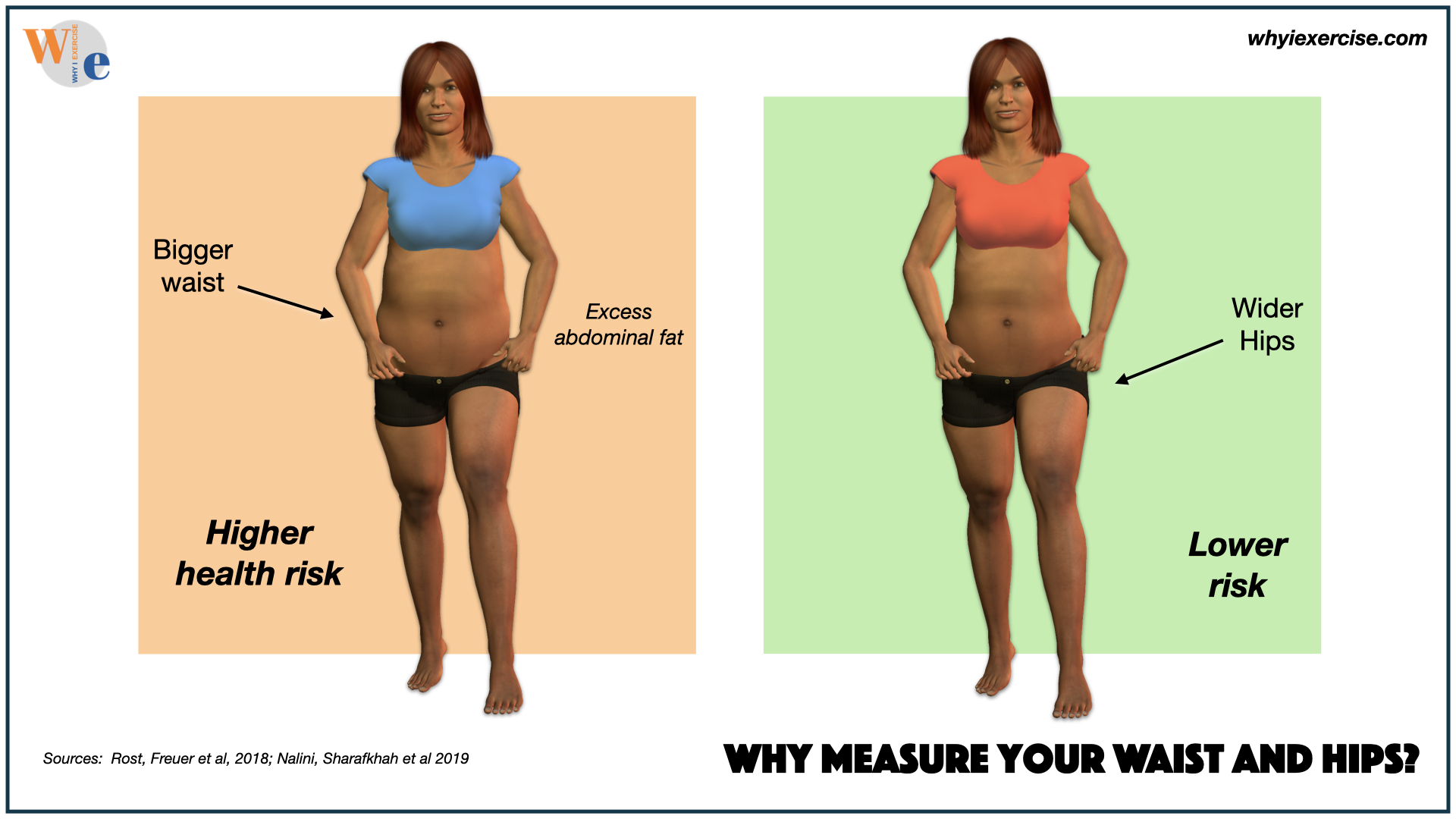 What Your Waist Size Says About Your Health Risks