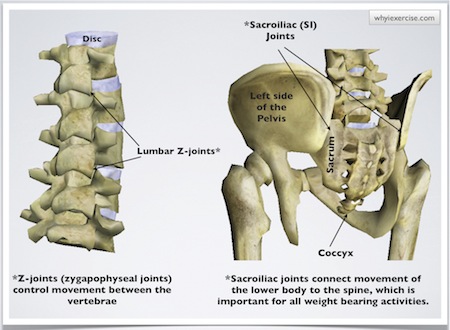 Causes of lower back pain point to exercise as a solution