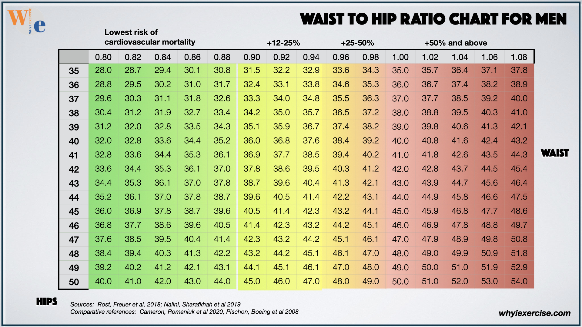 Waist to hip ratio chart for men