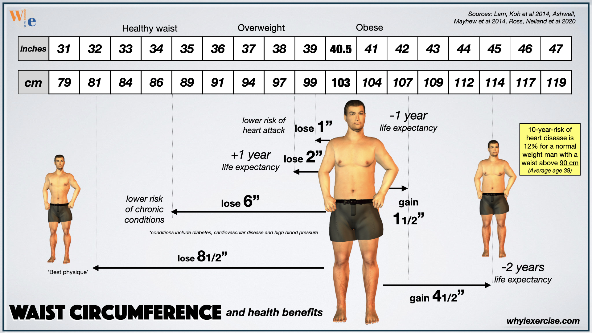 Waist circumference and health benefits for men 