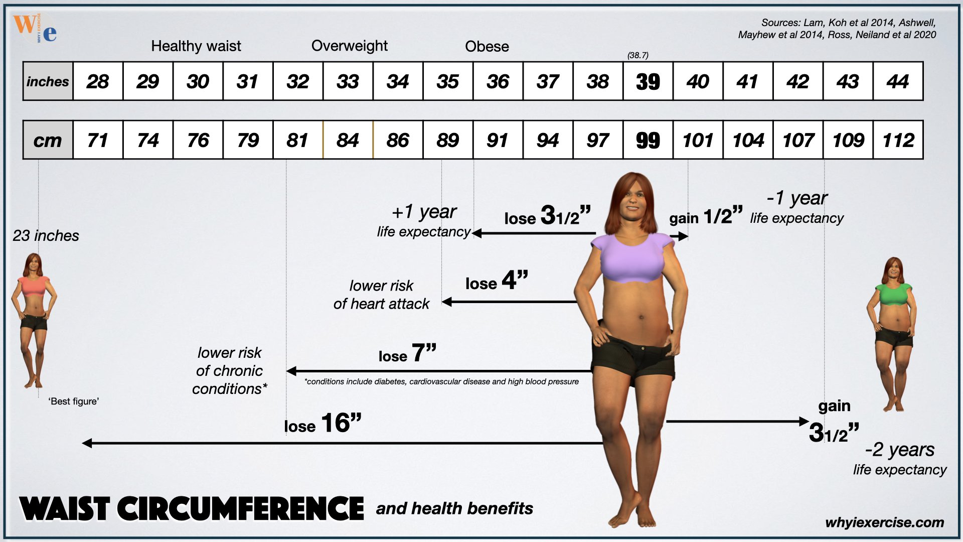 Waist circumference and health benefits for women 