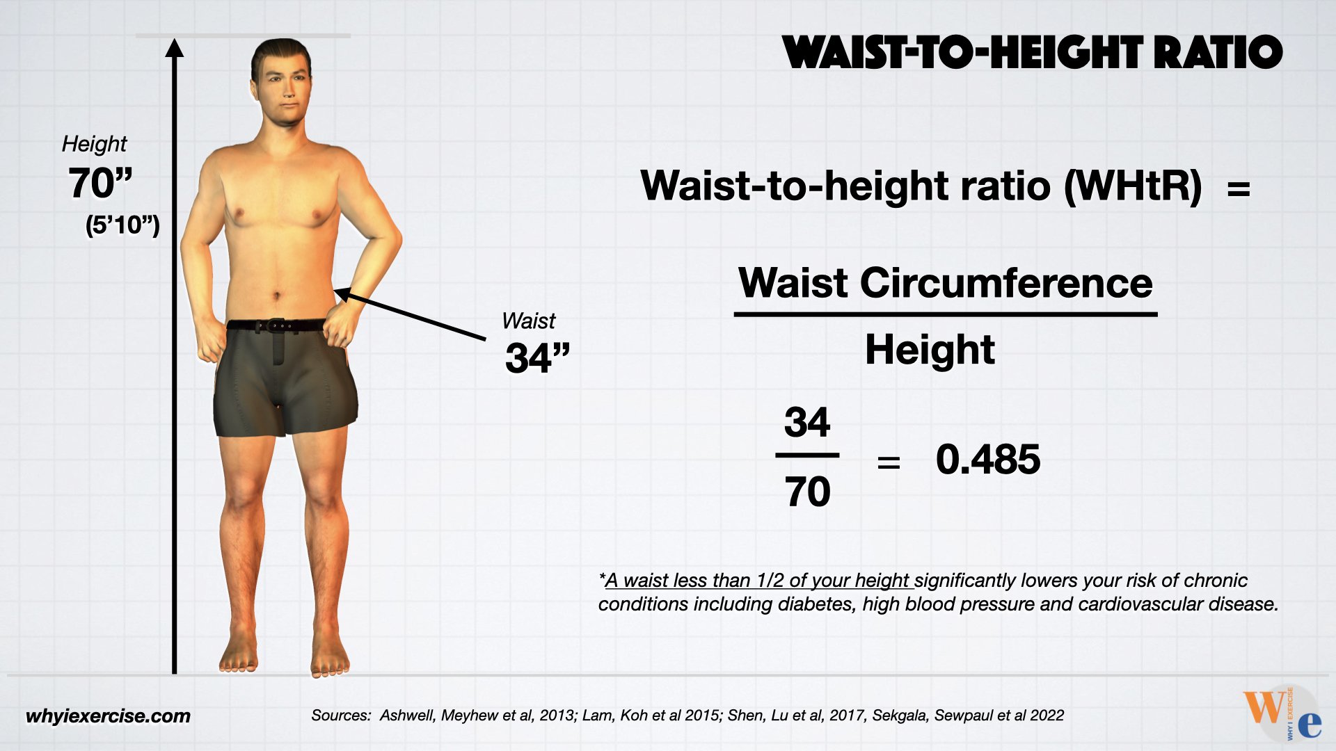 Waist-to-height ratio: waist less than 1/2 of your height
