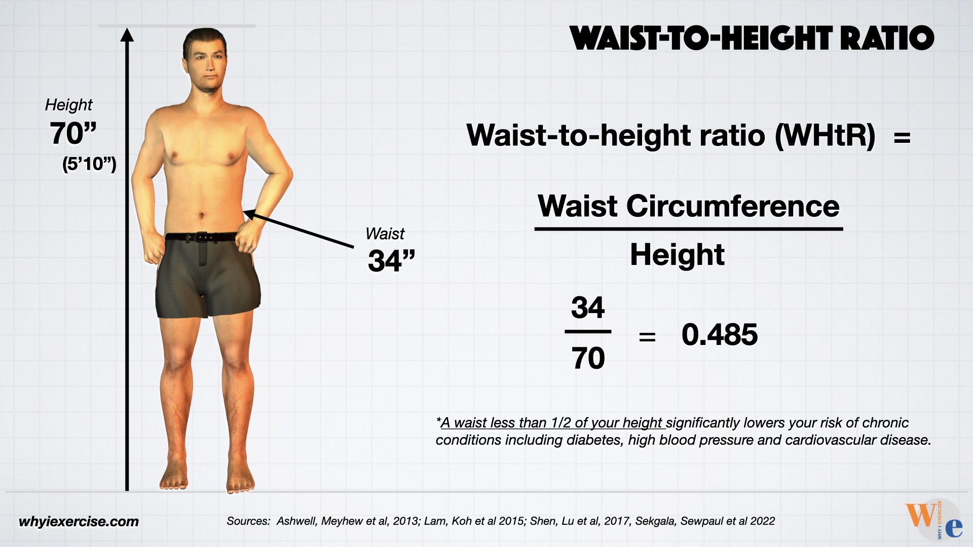 Waist Circumference: Examining the hidden dangers of abdominal obesity