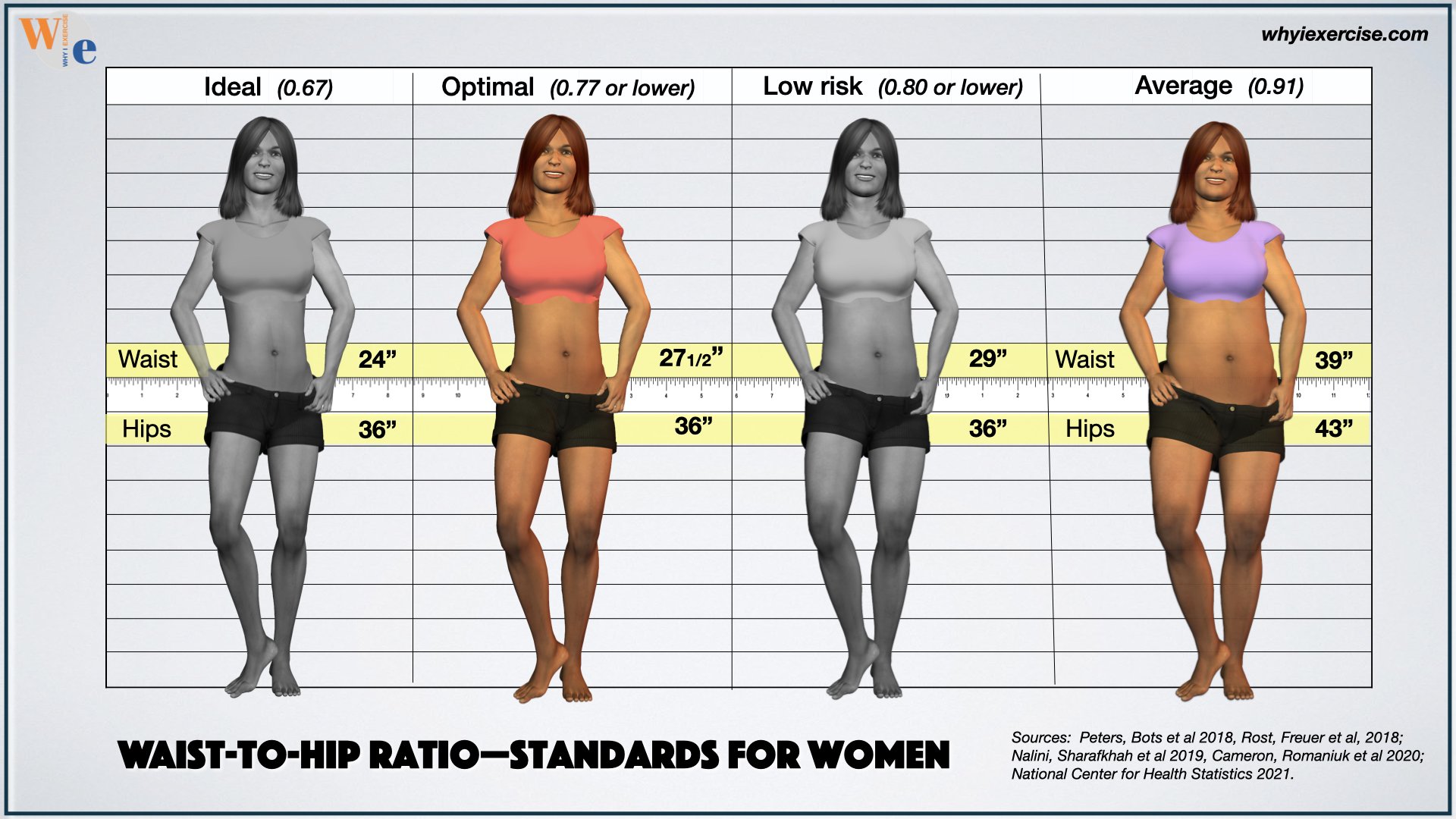 waist to hip ratio, standards for women