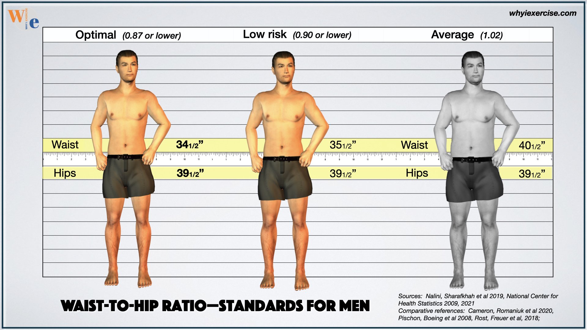 Waist-to-hip ratio, standards for men